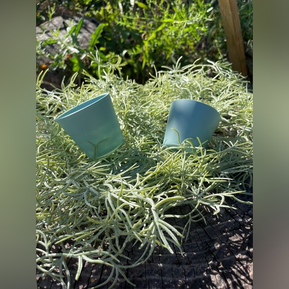 Ikea Planters - Picture 7 of 8